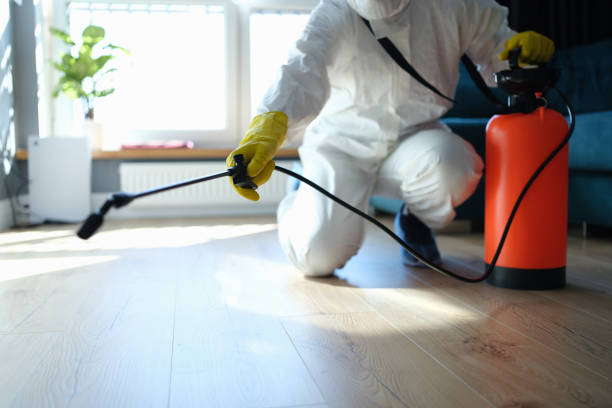 Reliable Biohazard Cleanup contractor in Georgetown, CO by Trauma Clean Pros